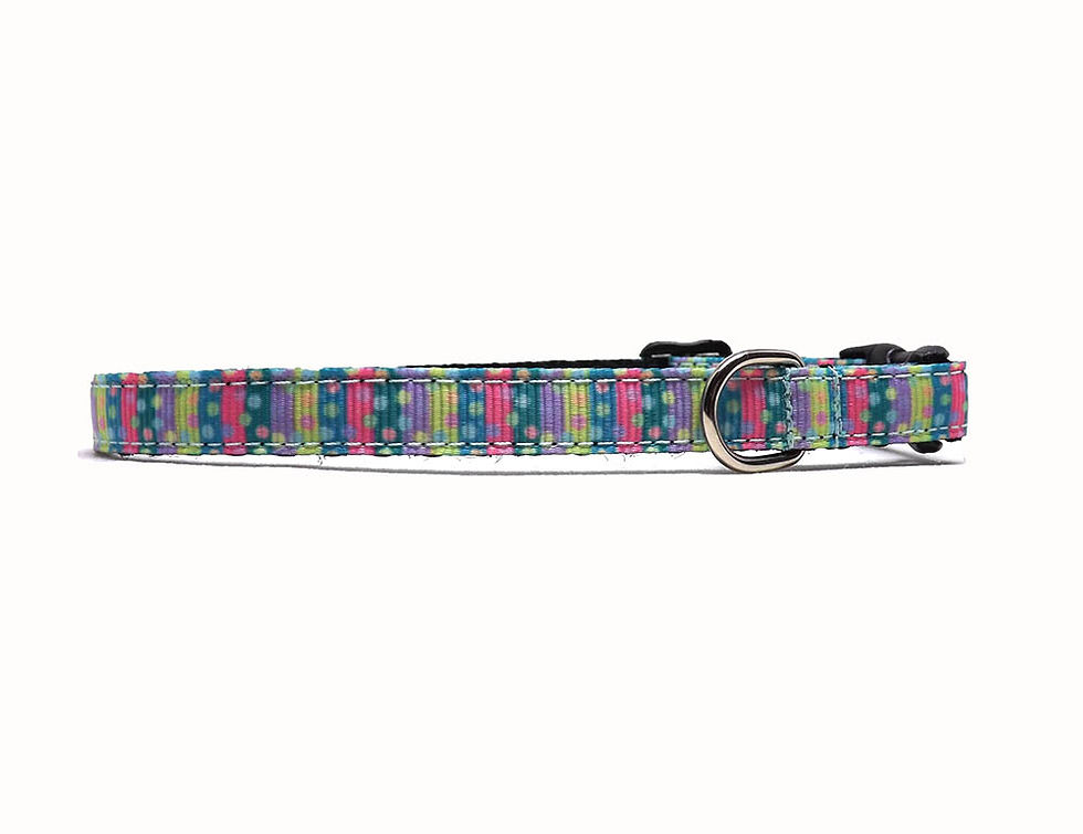 confetti cat collar side view