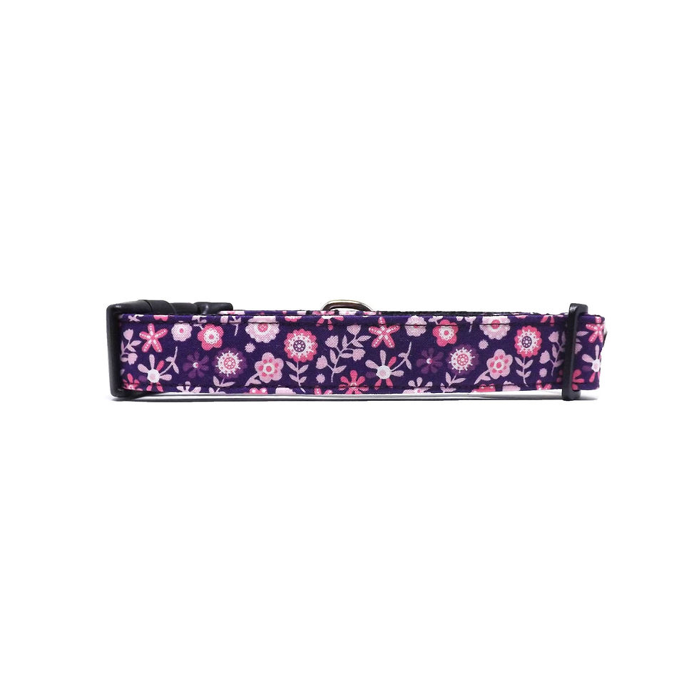 Thumbnail: purple dog collar with pink and purple flowers, back view