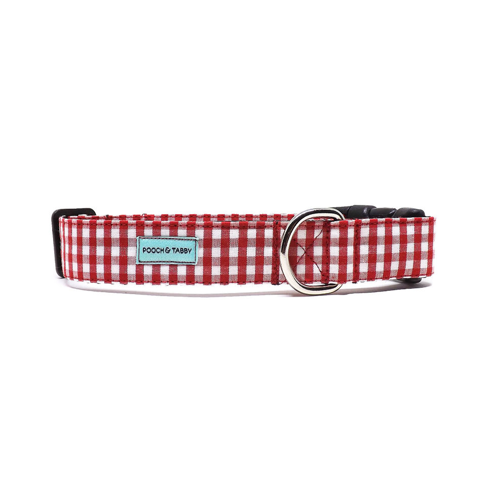 Thumbnail: red and white mini gingham dog collar, back view