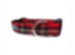 Dog Collar Royal Stewart tartan side view