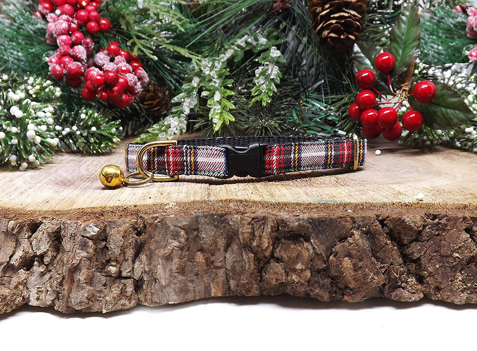 Thumbnail: Cat Collar - 'The Tartan Tiding' - Royal Stewart Dress Tartan Design