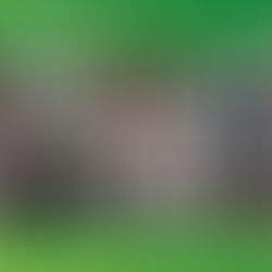 Ensamblando tu Carrera | AXA México