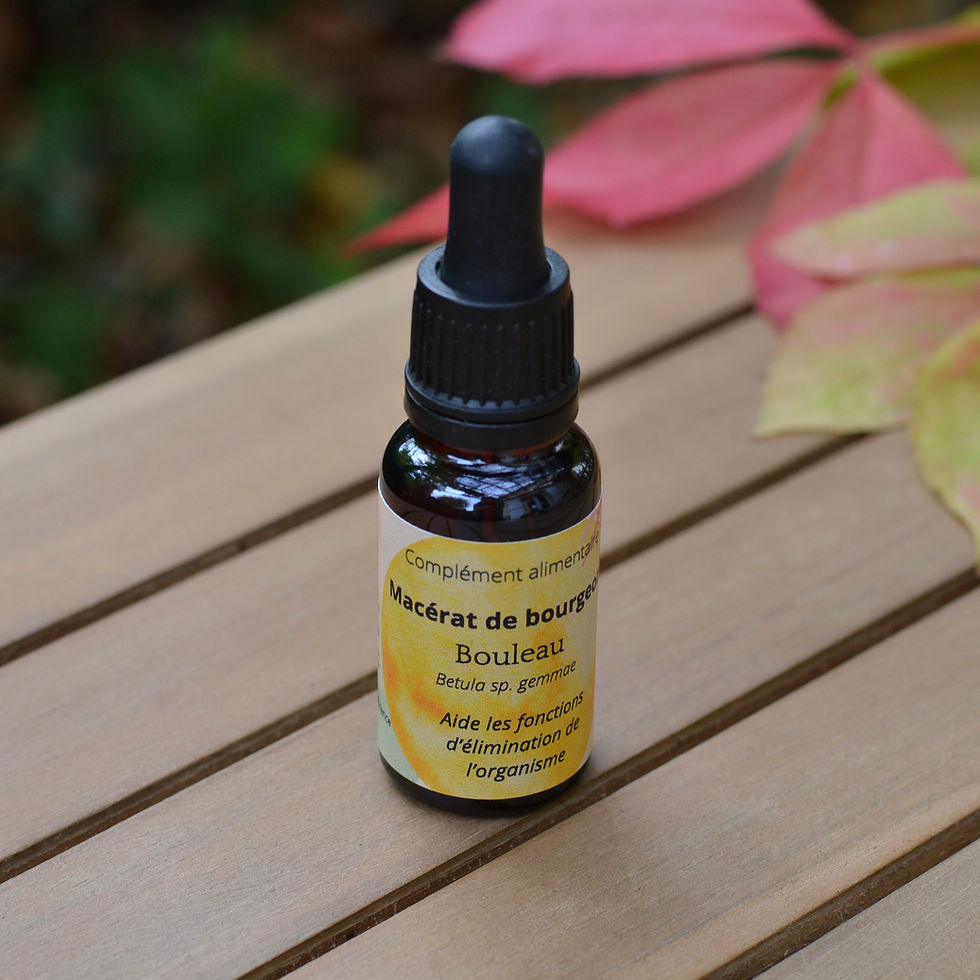 Miniature : Box d'automne