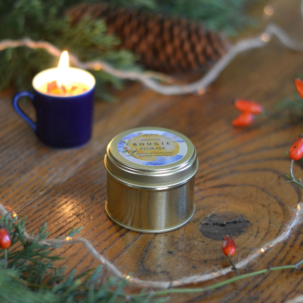 Miniature : Box d'hiver
