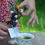 Miniature : Bouquet tisane