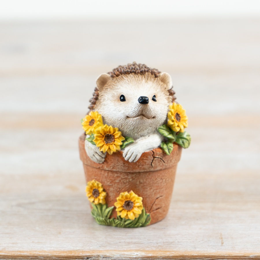 Hedgehog In A Plant Pot