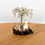 Thumbnail: Christmas Snowman figurine with a Quartz Gemstone Christmas Tree on a wooden stand