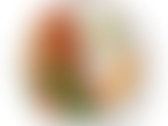 Qu'est ce que l'équilibre alimentaire?