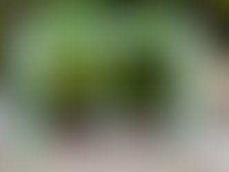 Li Auto Cup 2026 Tour of Hainan S4-Finish