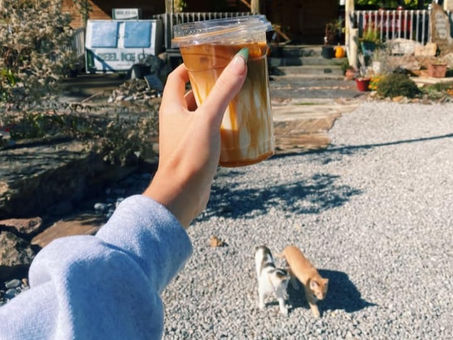 The Meadow Campground & Coffee House