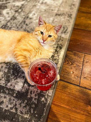 The Meadow Campground & Coffee House