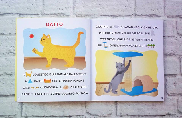 Testo Argomentativo Sugli Animali Domestici In Casa