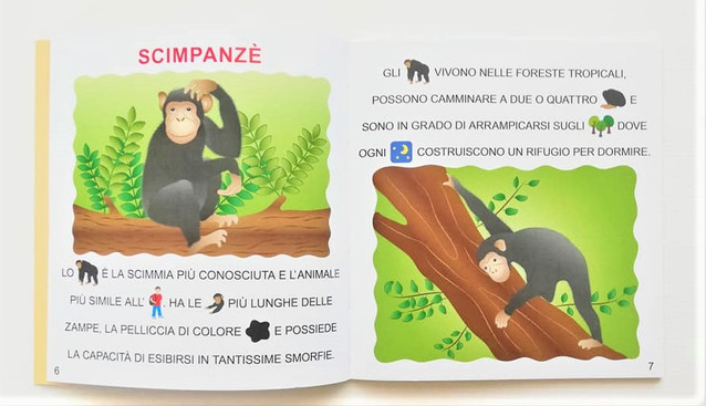 Gli animali della giungla, libro con pittogrammi - il mondo di Chri