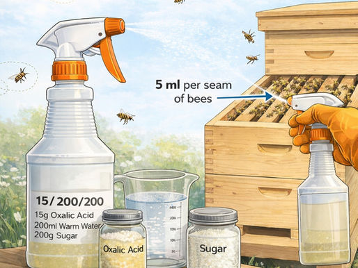 Oxalic Acid Dribble Using a Spray Bottle: A Simple Method for Beekeepers