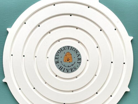 Open Feeding Bees - Pros and Cons