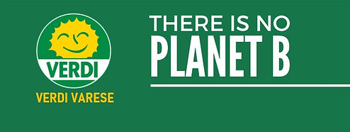 Logo Verdi Varese (1).jpg