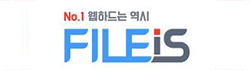 파일이즈