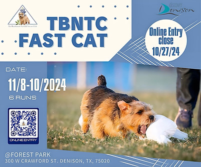 Fast Cat flyer picture with qr code.JPG