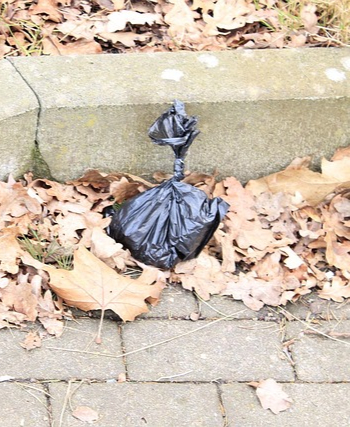 klassische Kotbeutel aus Plastik Umweltproblem