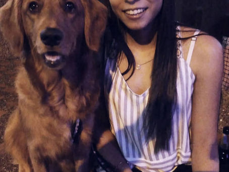 Tiersittern aus Köpenick Berlin mit golden Retriever großer Hund Gassi Service Hundebetreuung