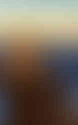 Tiersitterin in Bamberg weiblich mit Sonnenuntergang gassi gehen