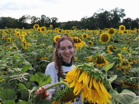 Sitterin aus Bamberg in Sonnenblumenfeld Gassi gehen