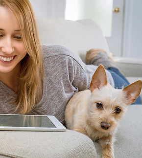 tablet-843798_1280 (1).jpg