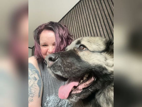 Tiersitterin aus Zossen mit großen hund Hundebetreuung