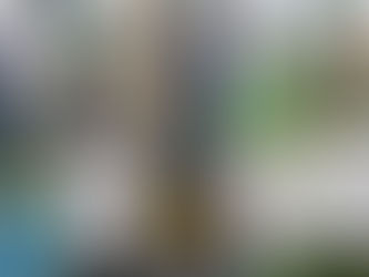 Kim Crawford Sauvignon Blanc 750ML 2018 available now at KC liquor