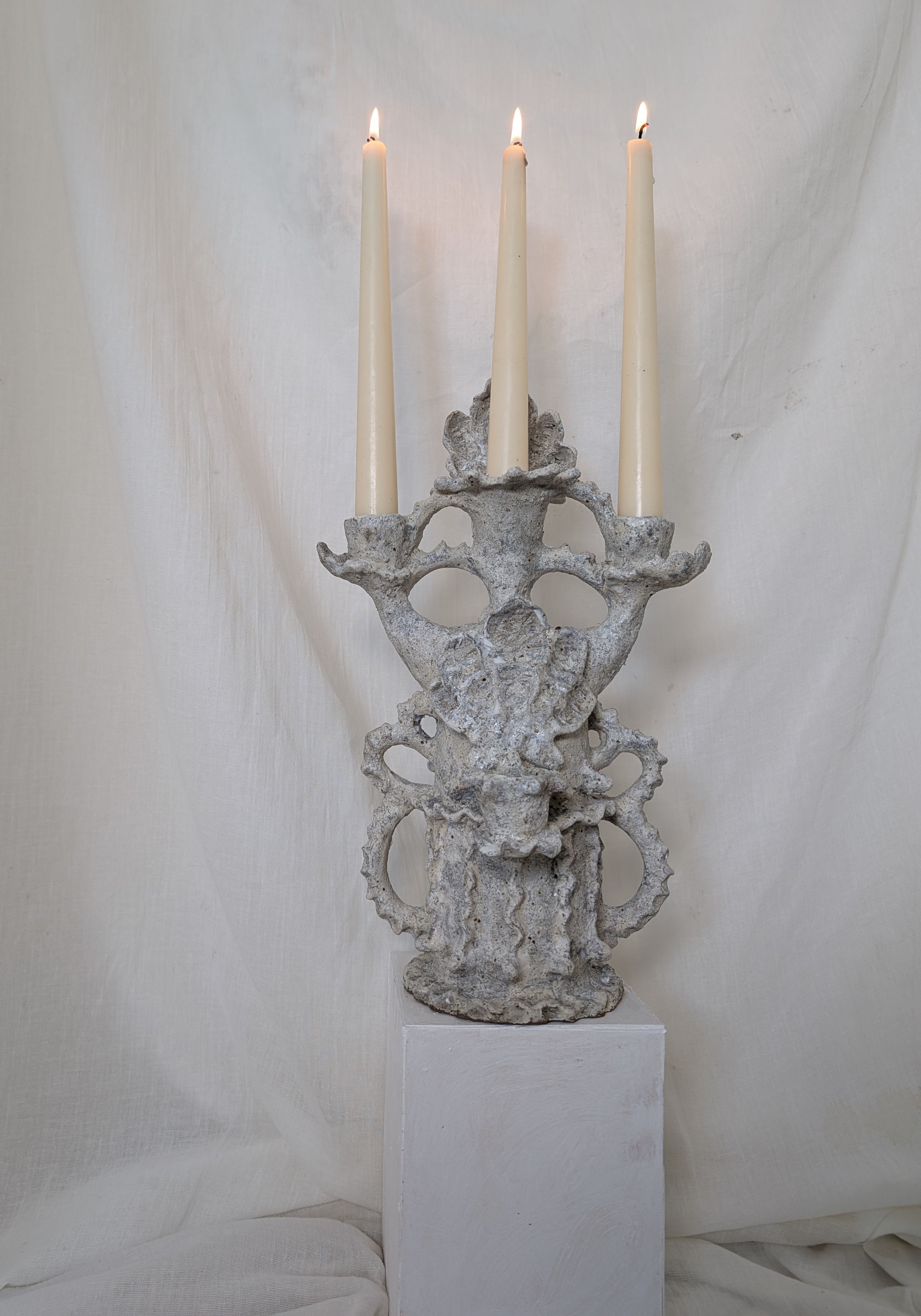 Shell candleabra 