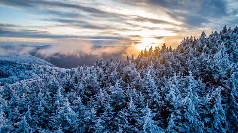 2020-01-29_SN_KS_Frosty Trees Sunset 0039 (1).jpg