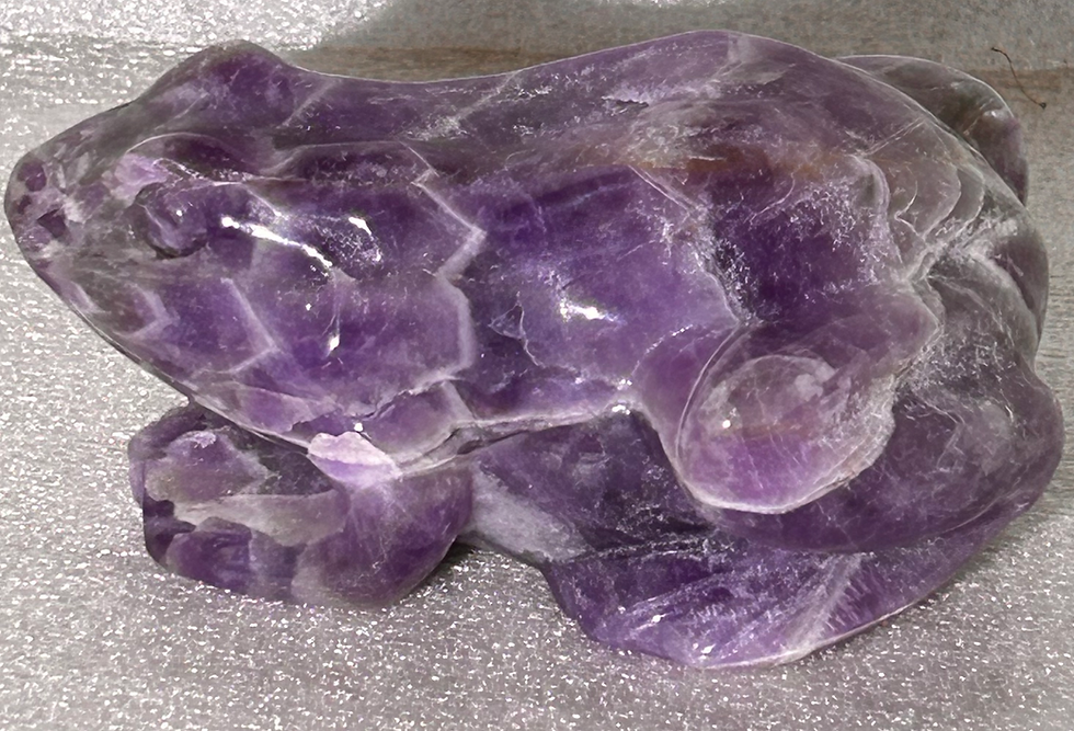 Thumbnail: Frog Variety Material