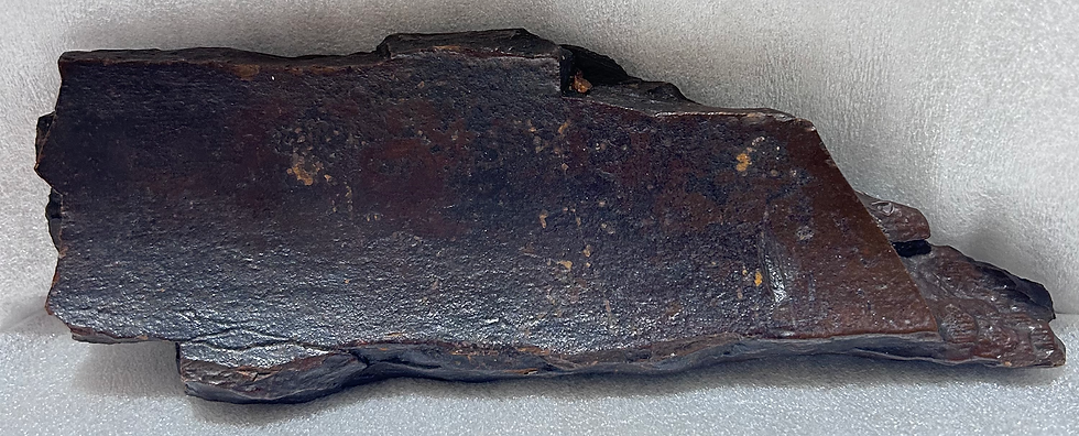 Thumbnail: Fossil Mammoth Ivory