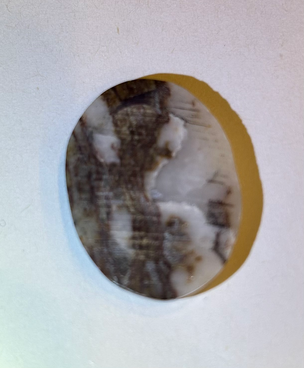 Thumbnail: Brown Zebra Jasper
