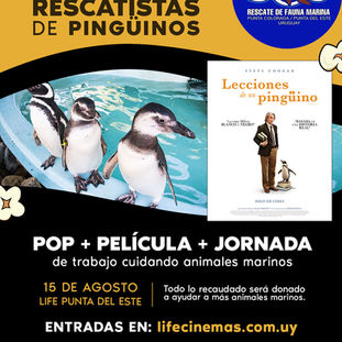 El plan de agosto: cuidar a un pingüino real y ver una película en el cine