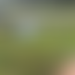 Fuerte temporal dejó varios destrozos en Tala y Santa Lucía 