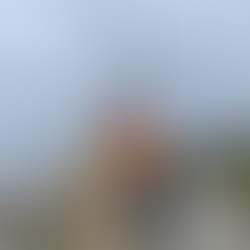 Se viene trabajando en el embellicimiento de la rambla de Piriápolis 