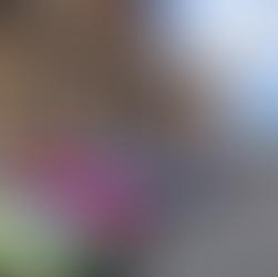 Piriápolis volvió a ser punto de encuentro y hermandad con el encuentro de  Fiat 600