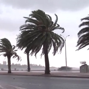 Se pronostican vientos fuertes a muy fuertes para el día jueves 