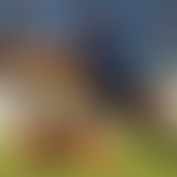 Se viene la decimotercera fecha del Torneo Apertura 