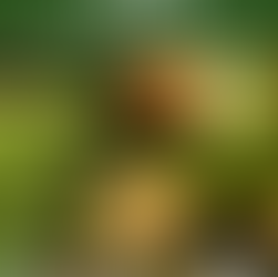 El 4 de mayo se realizará una nueva prueba de manipulación de alimentos en el Edificio Central del Municipio de Piriápolis.