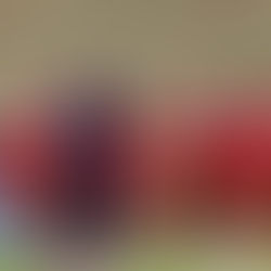 Desde las 19:00 horas Nacional recibe a Bahía de Brasil por Copa Libertadores