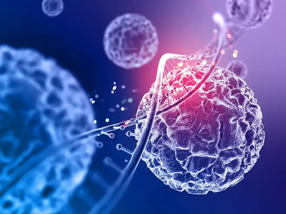 ARONİA MELANOCARPA UYGULAMASININEPİTELİYAL OVARYUM KANSERİ HÜCRE HATTI SKOV-3 ÜZERİNEİMMÜNOSİTOKİMYASAL VE APOPTOTİK ETKİLERİNİNİNCELENMESİ 
