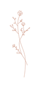 Wildflower Line Work