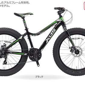 XDS FATBIKE BD24