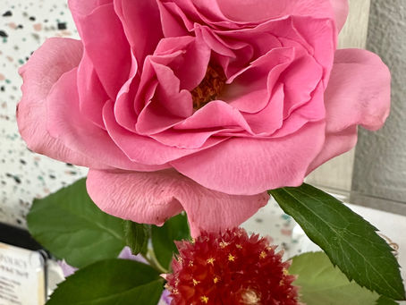 毎週楽しみなお花😊