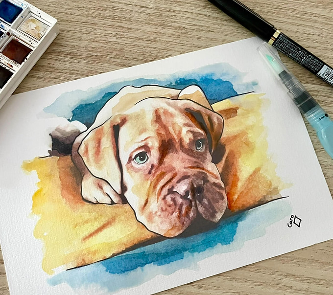 chien bouledoque aquarelle portrait