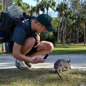 Top 5 Highlights of Southeast National Parks