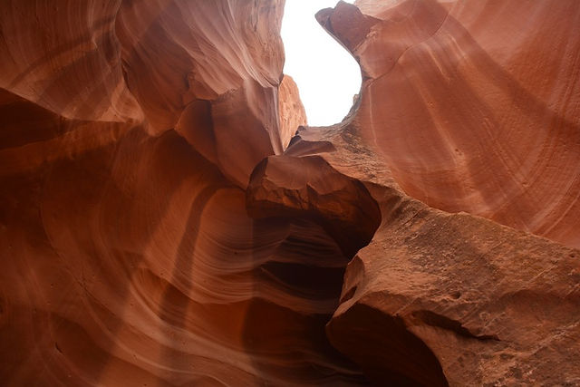 UpperAntelopeCanyonMikahMeyerAnimalRock