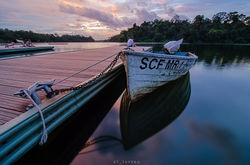 MacRitchie Reservoir